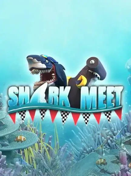 Shark Meet