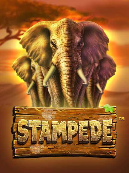 Stampede Slot
