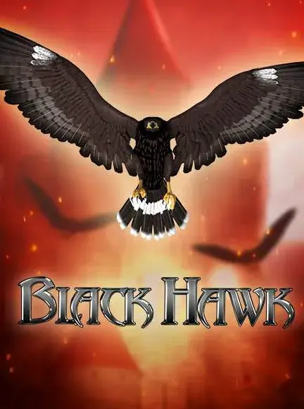 Play Black Hawk At BitStarz Casino